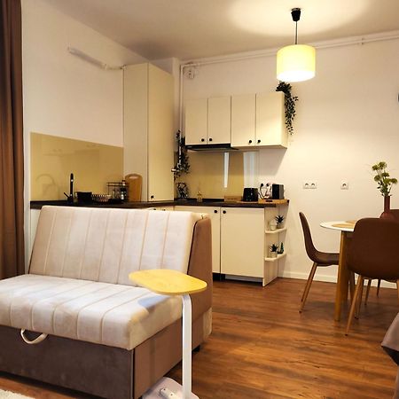 Garden City Studio Sibiu Dış mekan fotoğraf